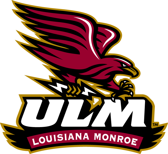 Louisiana-Monroe Warhawks 2006-Pres Alternate Logo v2 diy fabric transfer